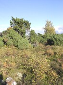 EHG3758_1416.JPG