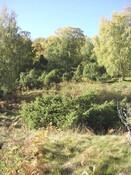 EHG3758_1417.JPG