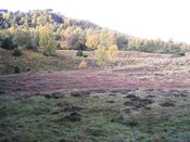 EHG3758_1419.JPG