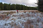 EHG3760_15.JPG