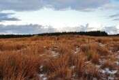 EHG3760_36.JPG