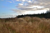 EHG3760_42.JPG