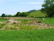 EHG3772_06.JPG