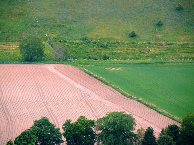 EHG3772_07.JPG