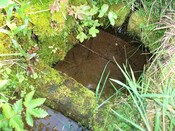 EHG3772_17.JPG
