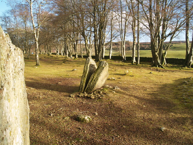 SHG25827_P2065116.JPG
