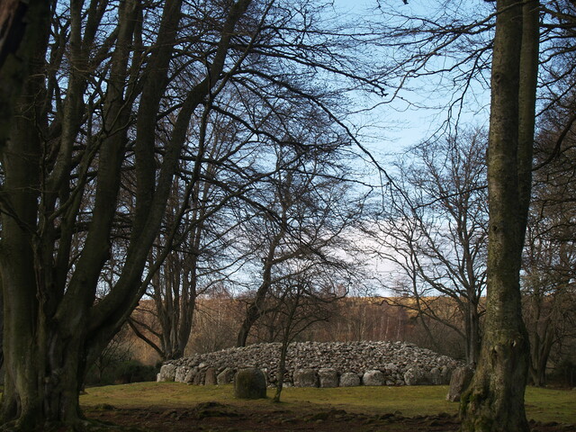 SHG25827_P2065146.JPG