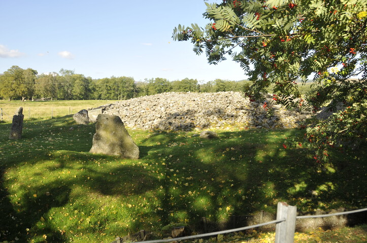 SHG25829_DSC0133.JPG