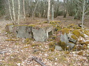 SHG25830_041.JPG