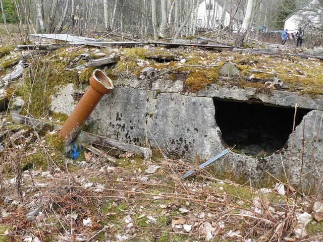 SHG25830_043.JPG
