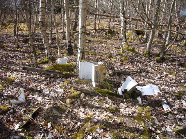 SHG25830_044.JPG
