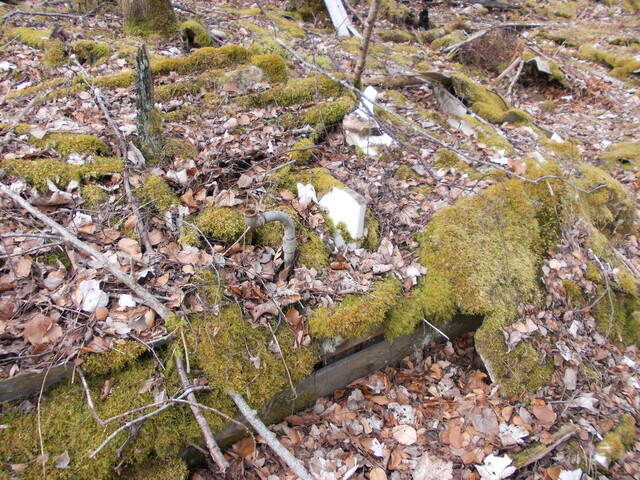 SHG25830_045.JPG