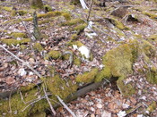 SHG25830_045.JPG