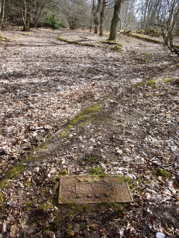 SHG25830_042.JPG