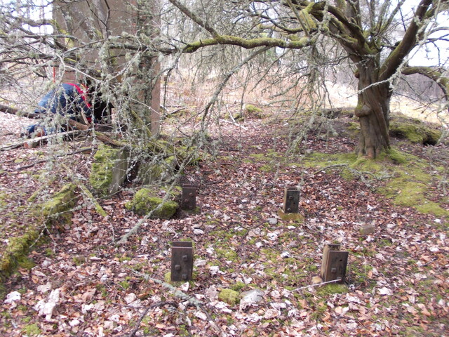 SHG25830_048.JPG