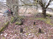 SHG25830_048.JPG