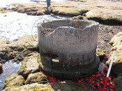 SHG25830_121.JPG