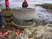 SHG25830_122.JPG