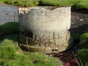 SHG25830_125.JPG