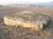 SHG25830_130.JPG