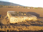 SHG25830_131.JPG