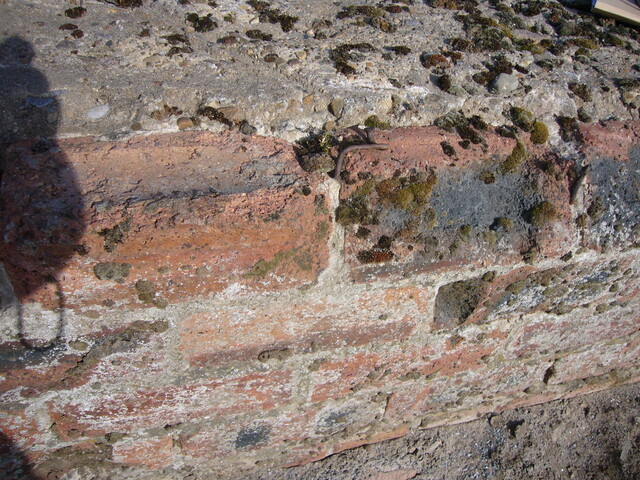 SHG25830_129.JPG