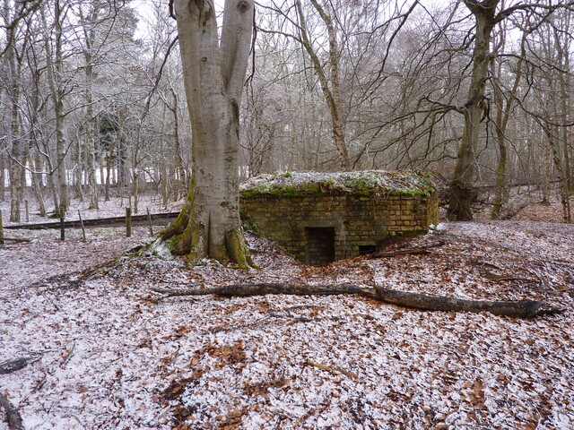 SHG25830_134.JPG