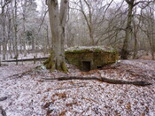 SHG25830_134.JPG