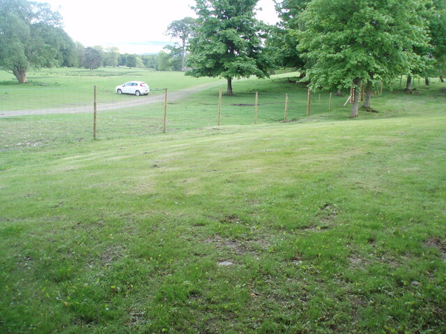 SHG25830_155.JPG