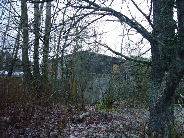 SHG25830_158.JPG
