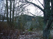 SHG25830_158.JPG