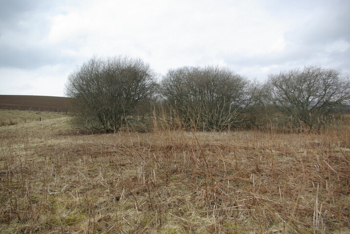 SHG25830_161.JPG
