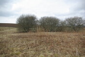 SHG25830_161.JPG