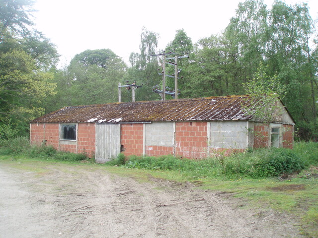 SHG25830_177.jpg