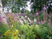 SHG25830_178.JPG