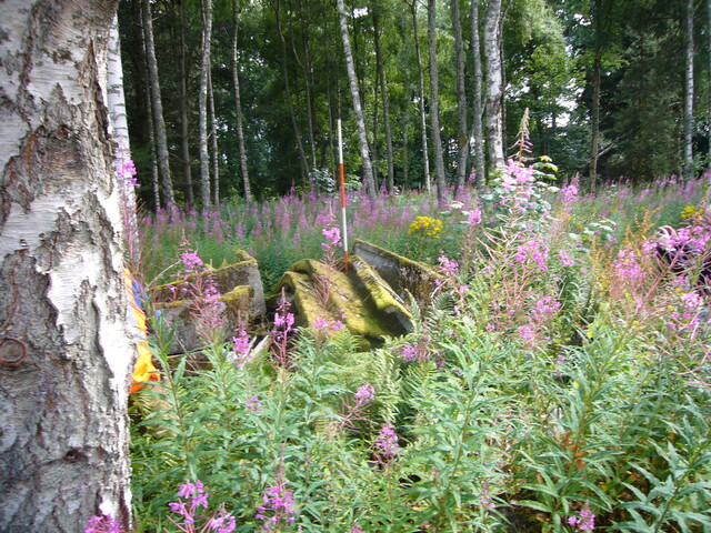 SHG25830_179.JPG