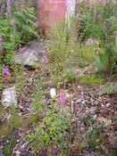 SHG25830_180.JPG