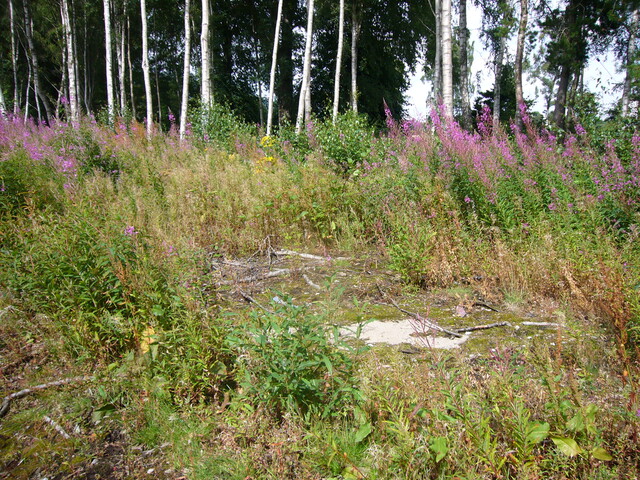 SHG25830_181.JPG