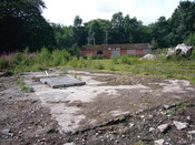 SHG25830_182.JPG