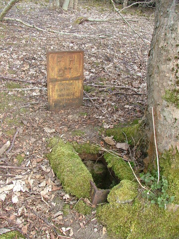 SHG25830_204.JPG