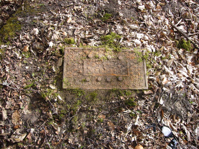 SHG25830_203.JPG