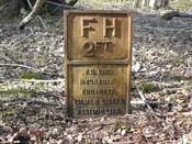SHG25830_205.JPG