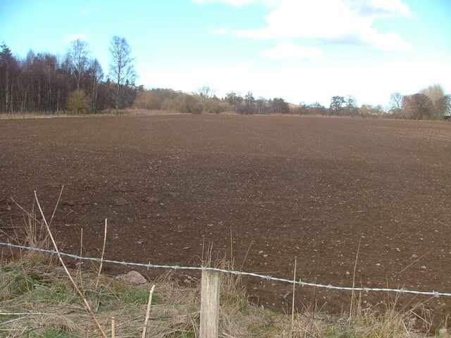 SHG25830_211.JPG