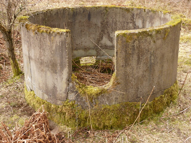 SHG25830_214.JPG