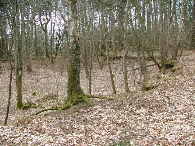 SHG25830_215.JPG