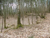 SHG25830_215.JPG
