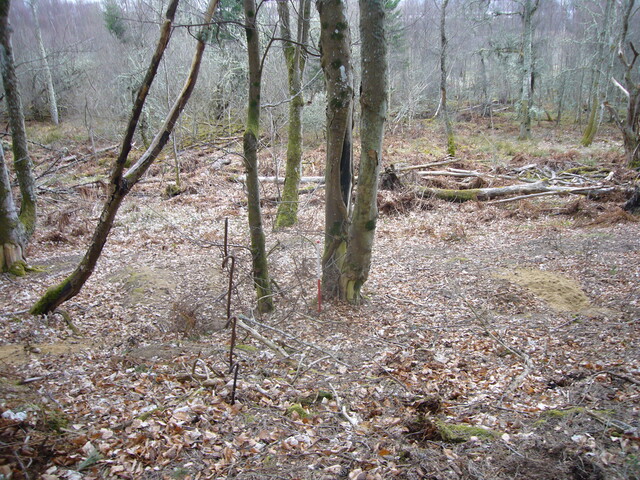 SHG25830_216.JPG