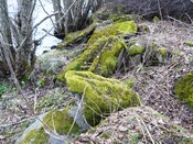 SHG25830_237.JPG