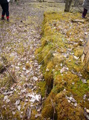 SHG25830_239.JPG