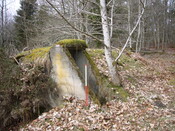 SHG25830_241.JPG